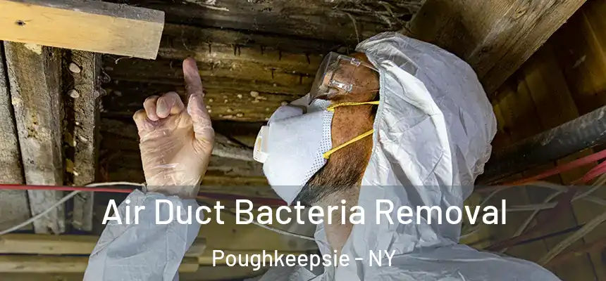  Air Duct Bacteria Removal Poughkeepsie - NY