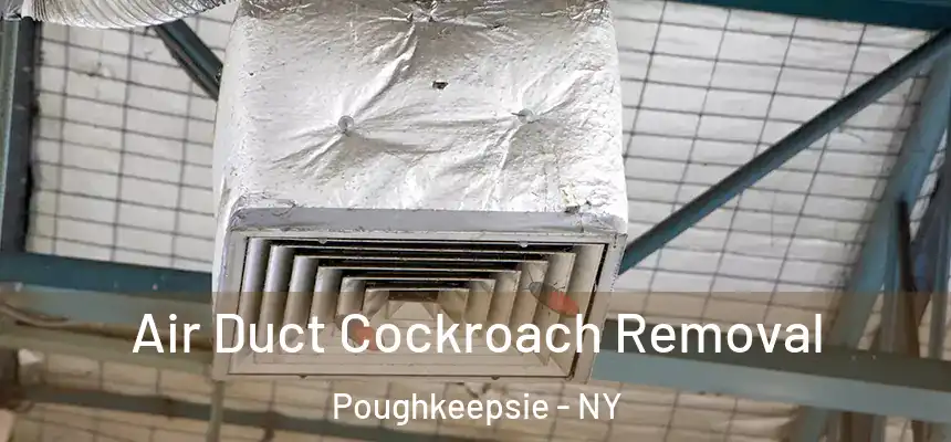  Air Duct Cockroach Removal Poughkeepsie - NY