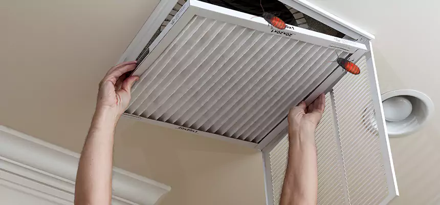 Preventive Cockroach-Proofing for Ducts in Poughkeepsie