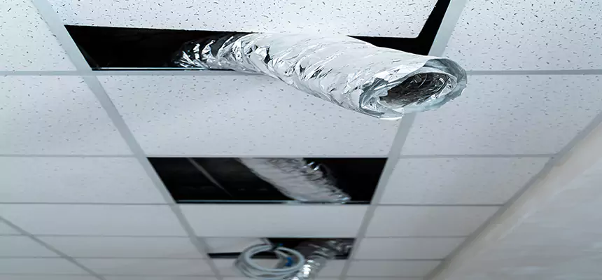 Our Air Duct Pet Hair Removal Services in Poughkeepsie, NY