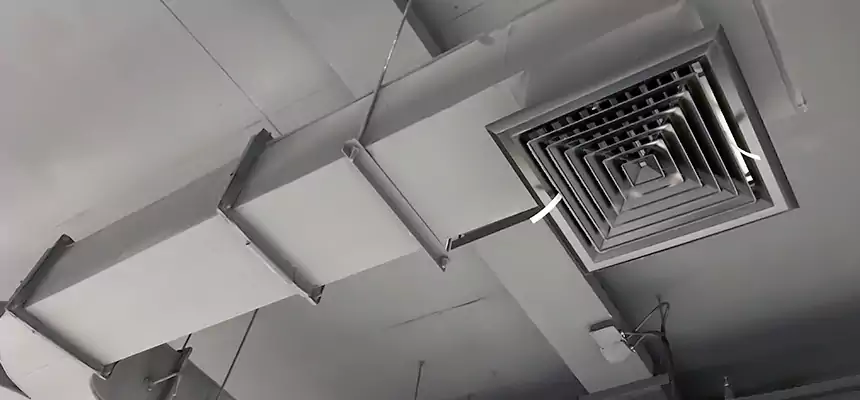 Restorative Allergy Relief Vent Cleaning – Coil, Blower & Housing Detail in Poughkeepsie