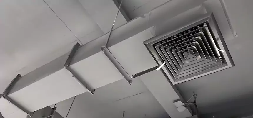 Our Pest Removal From Ducts Services in Poughkeepsie, NY