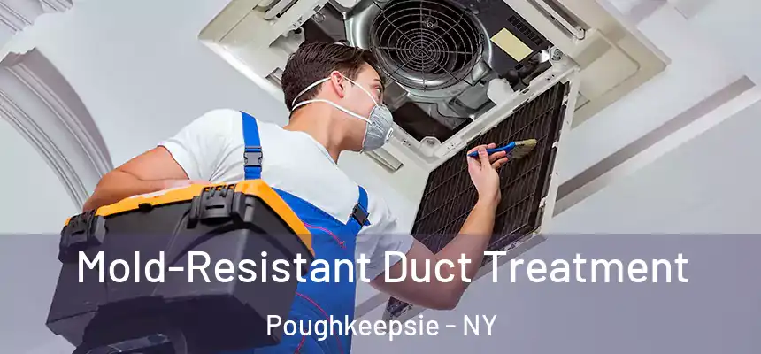  Mold-Resistant Duct Treatment Poughkeepsie - NY