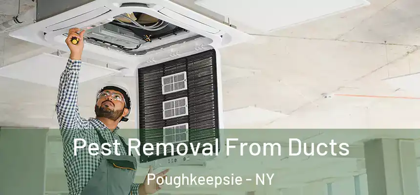  Pest Removal From Ducts Poughkeepsie - NY