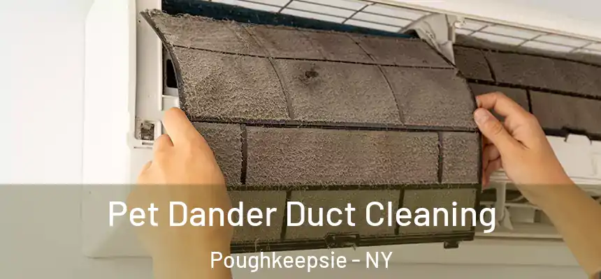 Pet Dander Duct Cleaning Poughkeepsie - NY