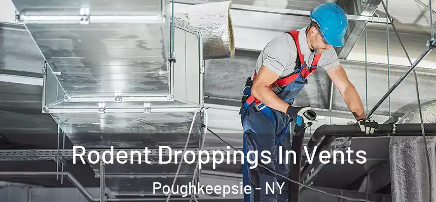  Rodent Droppings In Vents Poughkeepsie - NY
