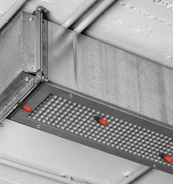 Affordable Insect Removal from Air Ducts in Poughkeepsie, NY